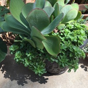 Meet your Posher, Terry